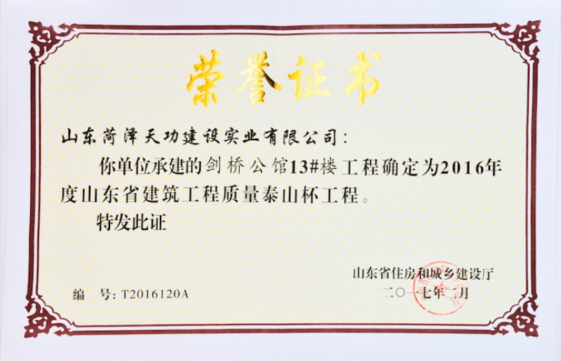 山东省建筑工程质量泰山杯